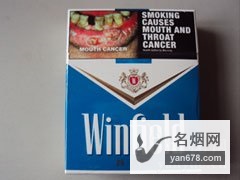 温菲尔德(蓝)香烟价格表（多少钱一包）